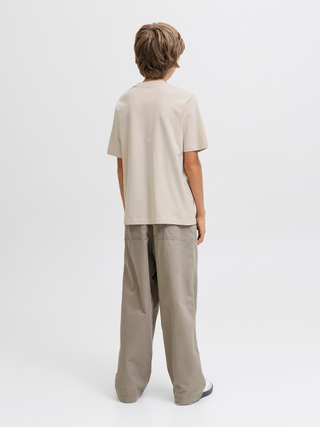 JJESOHO T-shirt - Moonbeam
